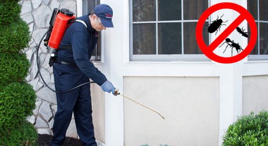 Torul Hamam Böceği İlaçlama böcek ilaçlama ve haşere kontrolü — ilaclama-tr.com